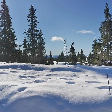 Semesterbostad In With House A Mountain View *
