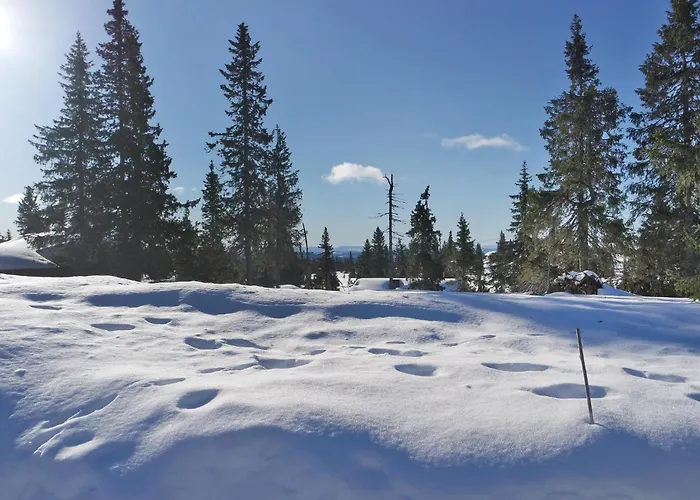 Сasa de vacaciones Cozy In *